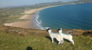 Knockalla Caravan & Camping Park Donegal beside beautiful blue flag beaches